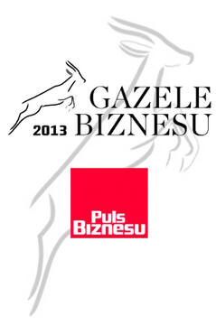 Gazelles du business 2013